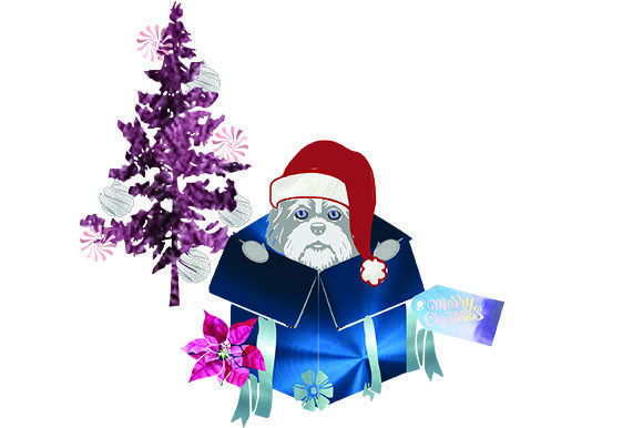 Christmas Pup in a Box Illustrations Review
